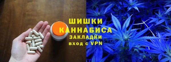 стаф Богданович